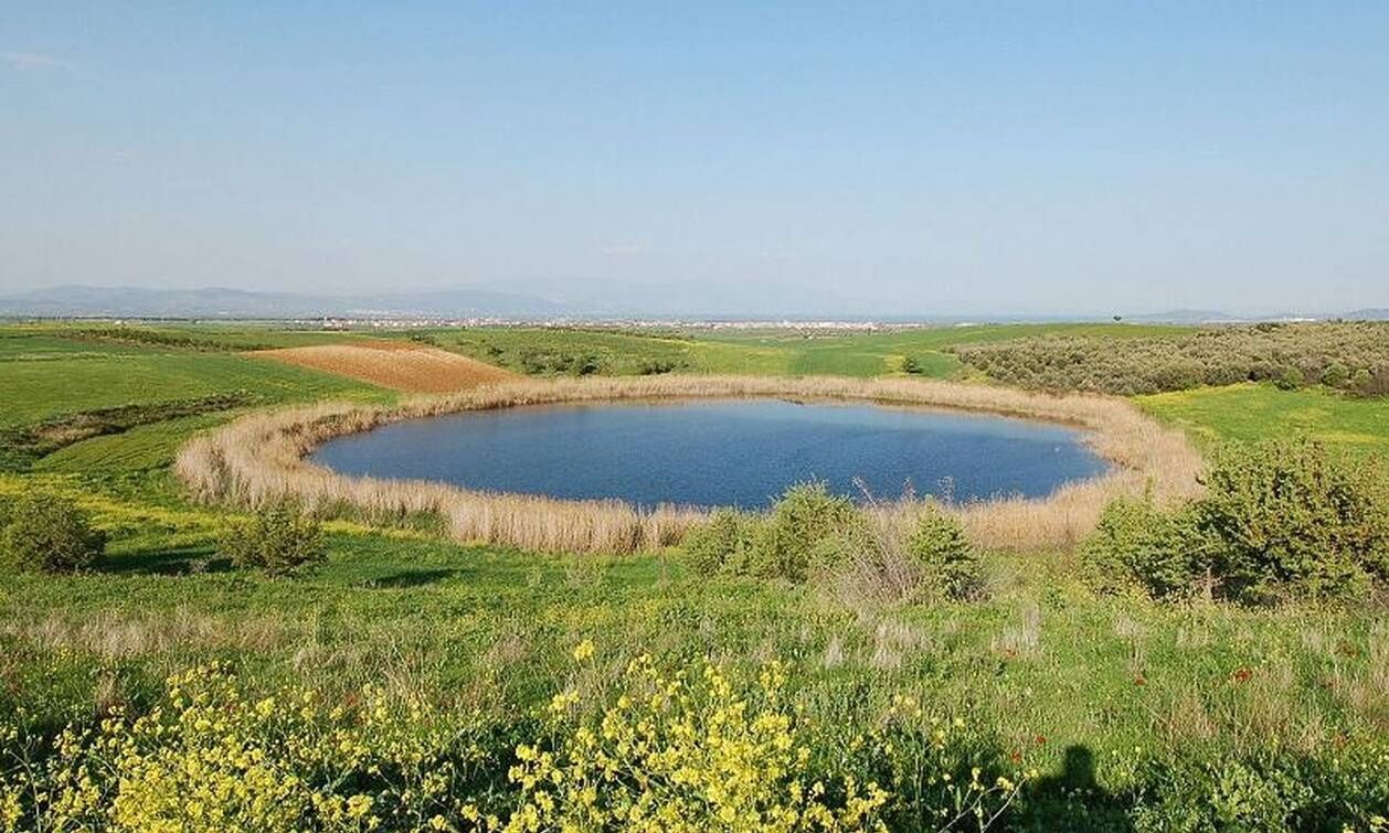 Νεκρός ο 8χρονος μαθητής που απομακρύνθηκε από το σχολείο στη Νότια Καρολίνα