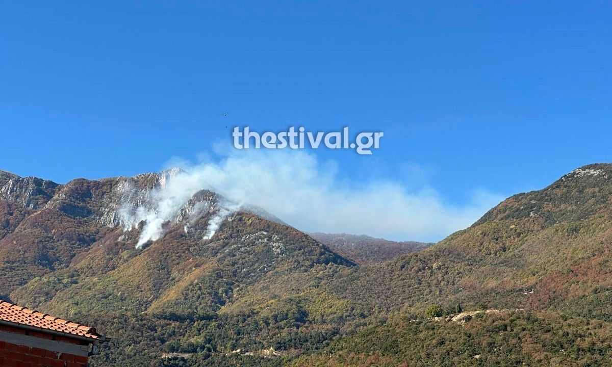 Φωτιά στο Παγγαίο Όρος Ελεγχόμενη Κατάσταση με Συνεχιζόμενες Προσπάθειες Κατάσβεσης